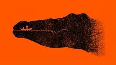 Cosa avete visto per primo: un test psicologico che rivela i tratti principali della vostra personalità