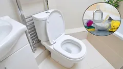 Dite addio ai fastidiosi odori provenienti dalle tubature dell'acqua e delle fognature nel bagno: la soluzione ideale per un bagno impeccabile.