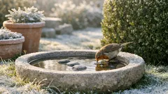 Come offrire acqua agli uccelli in inverno senza farla gelare: guida pratica per il giardino