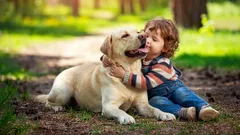 Cosa dice la razza di un cane sul carattere del suo proprietario