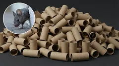 Come liberarsi dei topi in casa con un portascopino: una trappola fai da te efficace