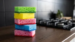 Blu, verde o giallo: non avresti mai immaginato perché le spugne da cucina sono disponibili in diversi colori.