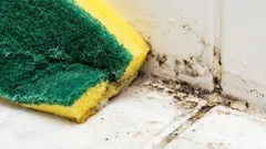 Questa bevanda a base di latte rimuove istantaneamente le macchie di muffa.