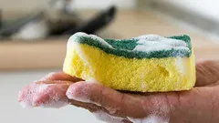 Un modo semplice per disinfettare la spugna per lavare i piatti e distruggere i batteri: ti serviranno solo due ingredienti.